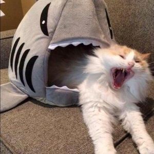 Meet your Posher, Fei